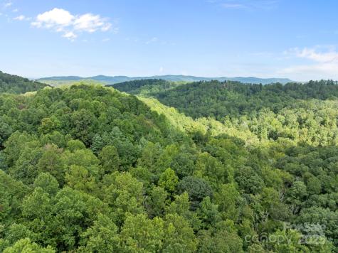 1 Rixhaven Drive Saluda NC 28773