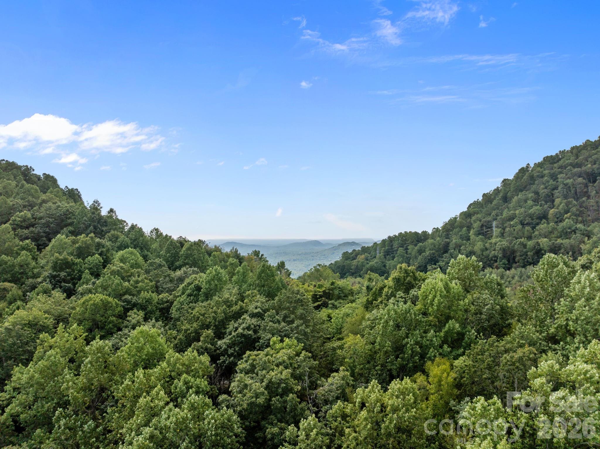 1 Rixhaven Drive Saluda NC 28773