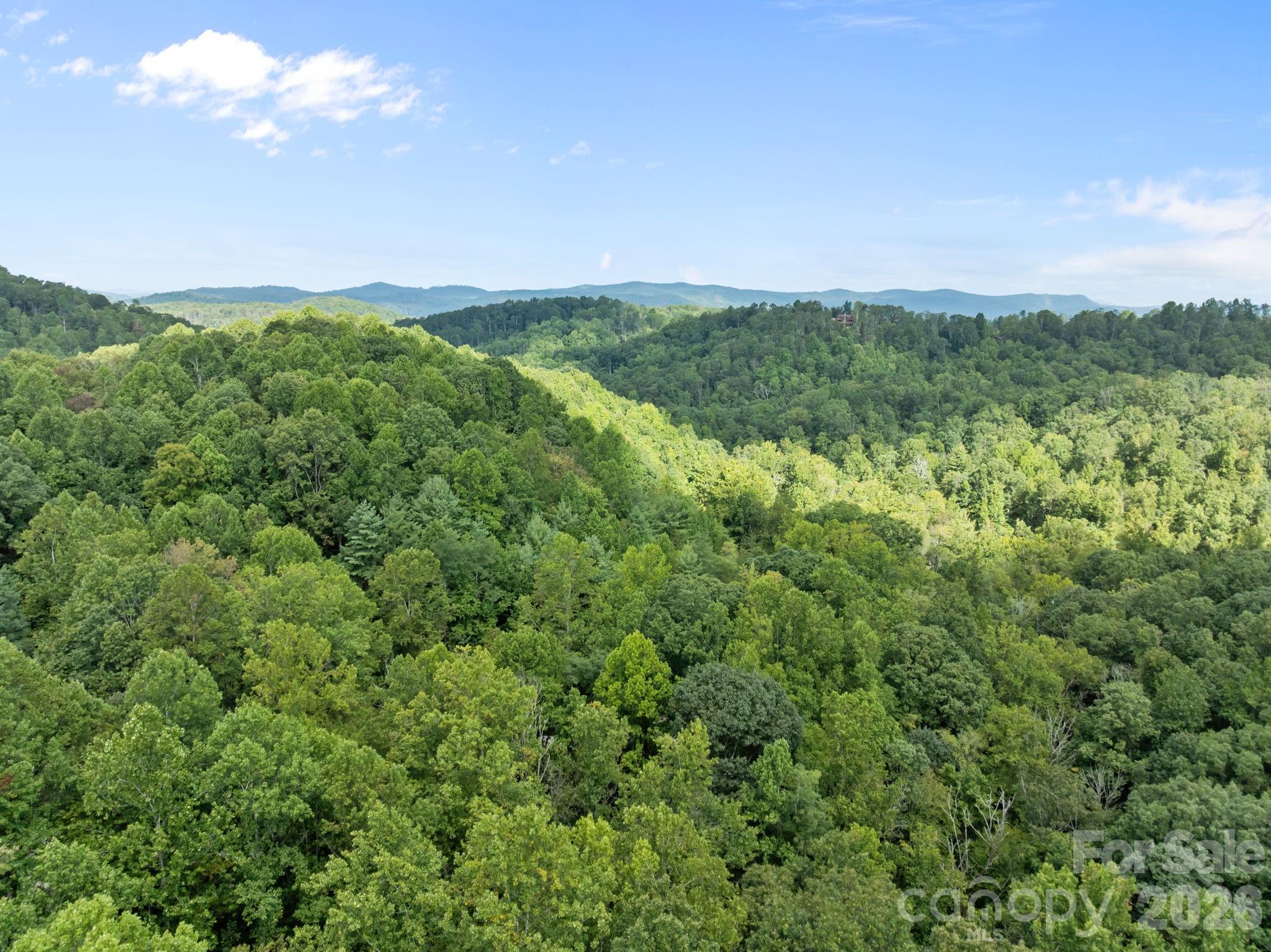 1 Rixhaven Drive Saluda NC 28773
