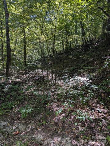 1 Rixhaven Drive Saluda NC 28773