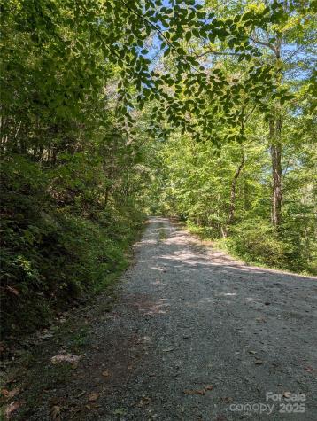 1 Rixhaven Drive Saluda NC 28773