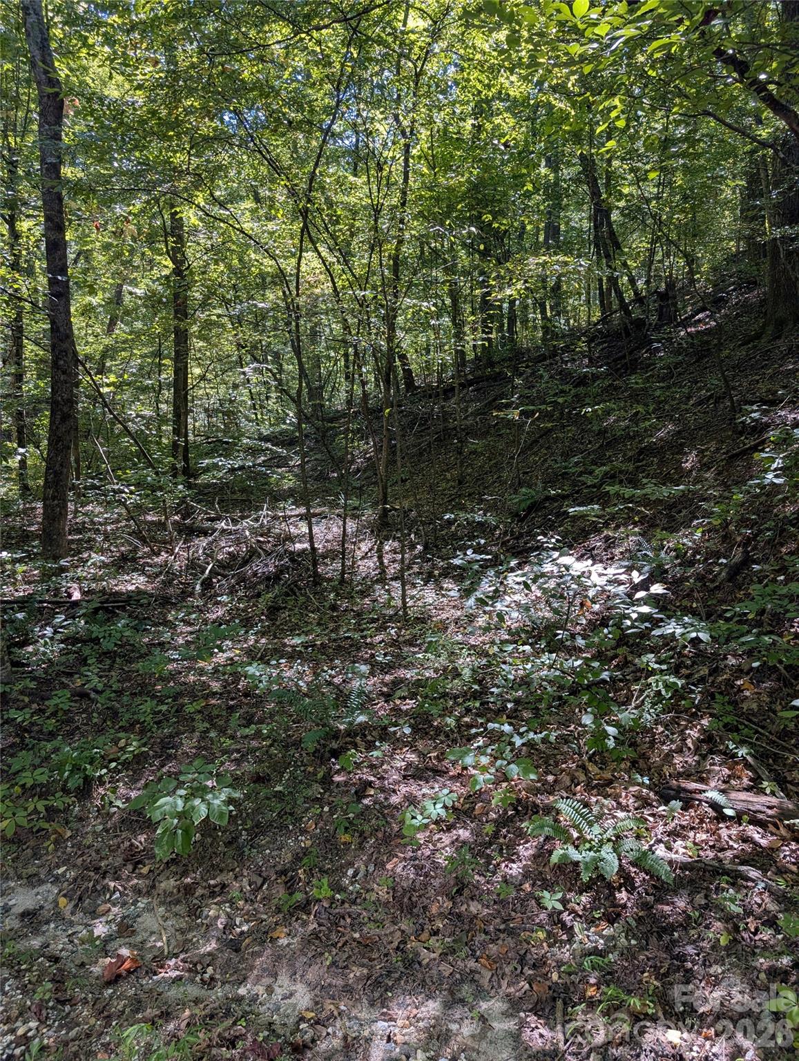 1 Rixhaven Drive Saluda NC 28773