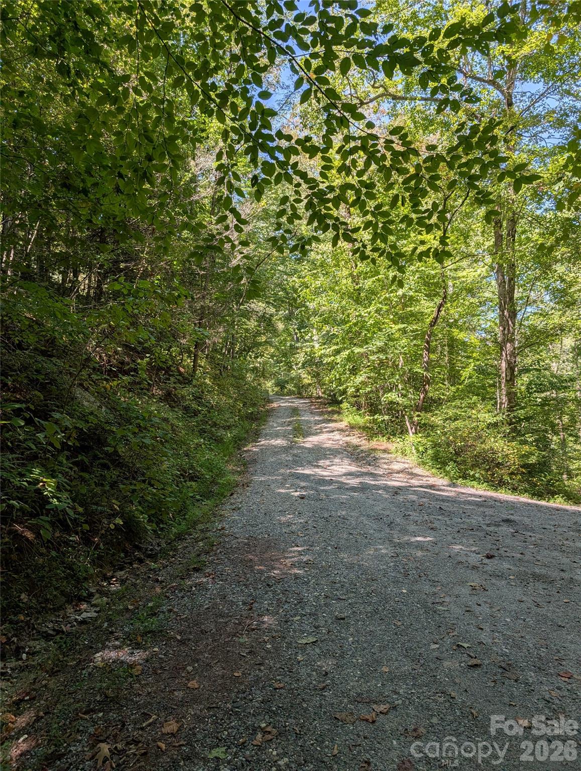 1 Rixhaven Drive Saluda NC 28773