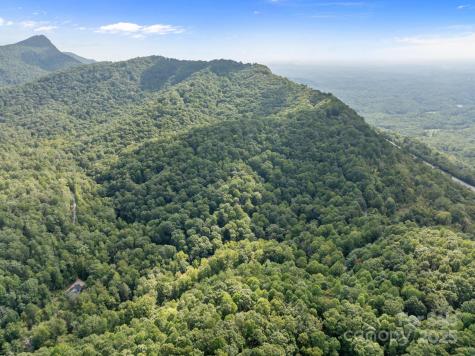 1 Rixhaven Drive Saluda NC 28773