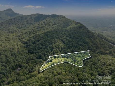 1 Rixhaven Drive Saluda NC 28773