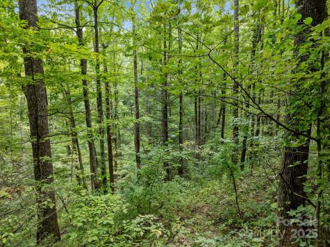 1 Rixhaven Drive Saluda NC 28773