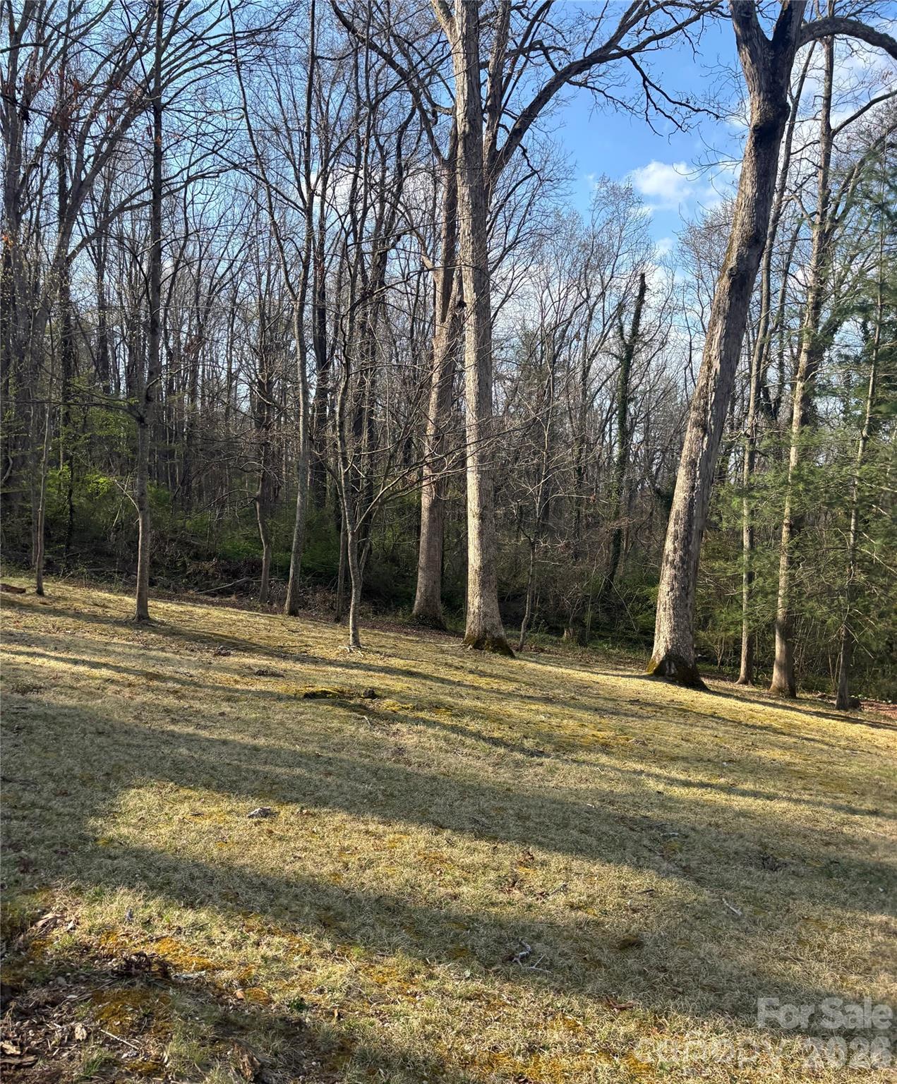 67 Shawnee Trail Asheville NC 28805