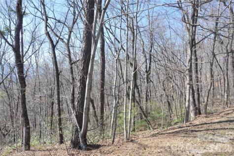 Tbd Mountain Crest Drive S Marion NC 28752