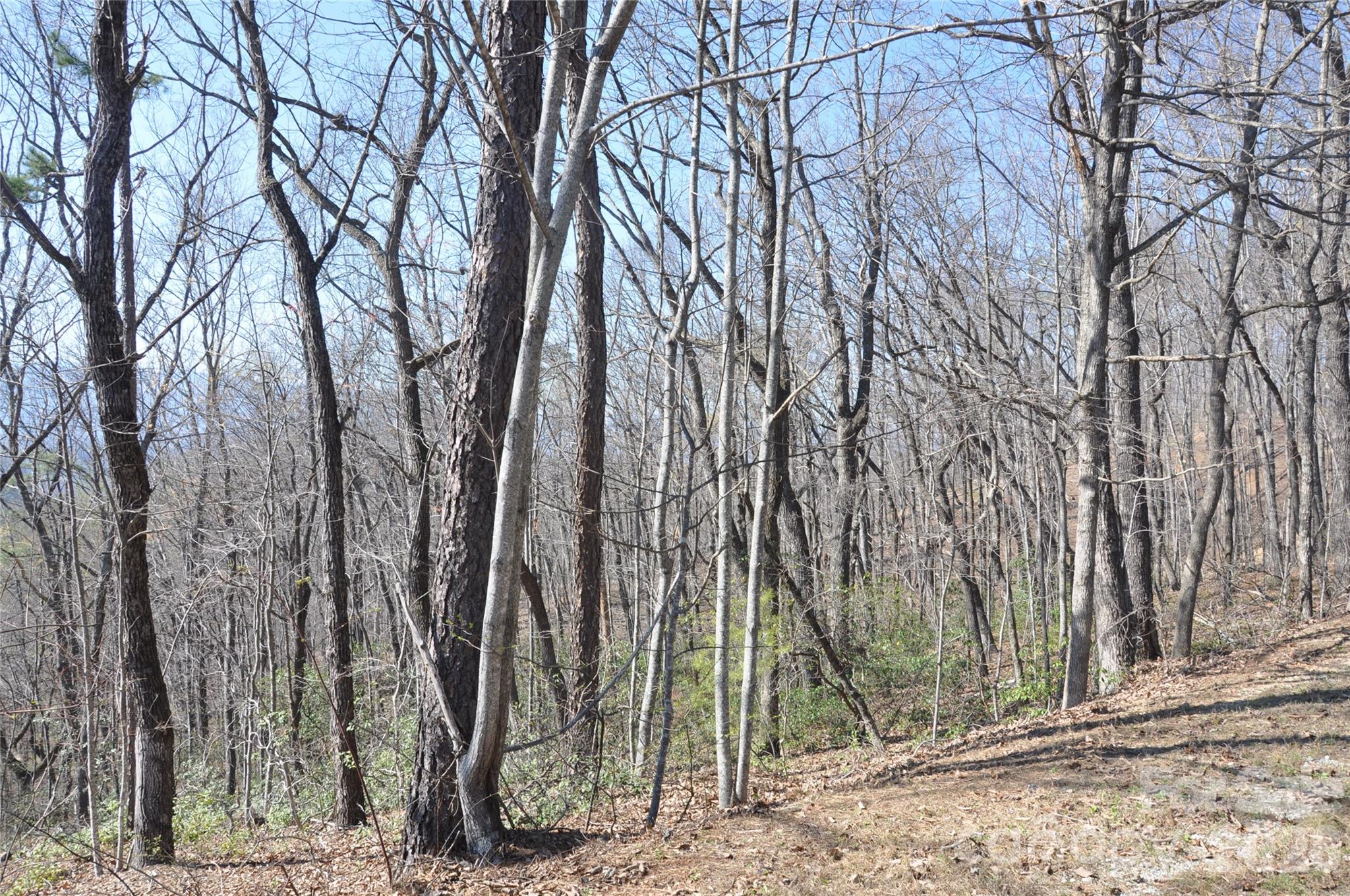 Tbd Mountain Crest Drive S Marion NC 28752