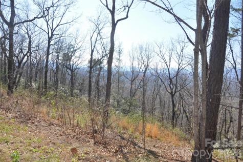 Tbd Mountain Crest Drive S Marion NC 28752