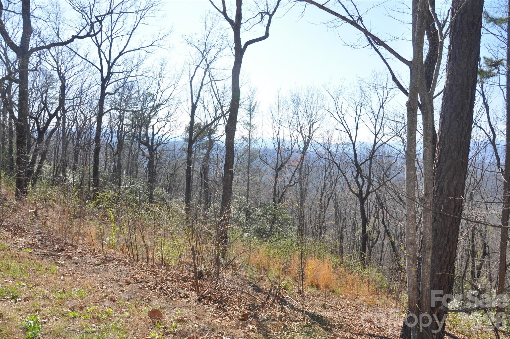 Tbd Mountain Crest Drive S Marion NC 28752
