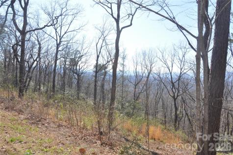Tbd Mountain Crest Drive S Marion NC 28752