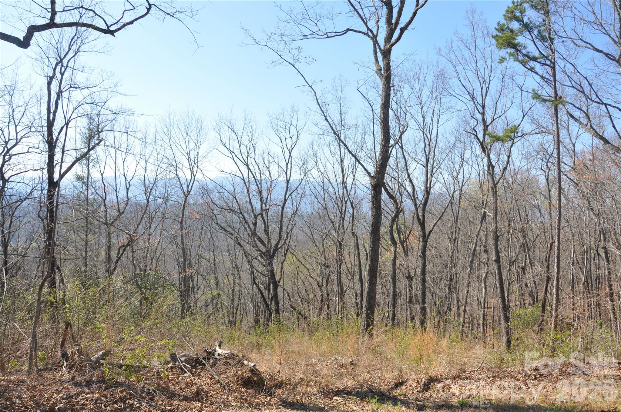 Tbd Mountain Crest Drive S Marion NC 28752