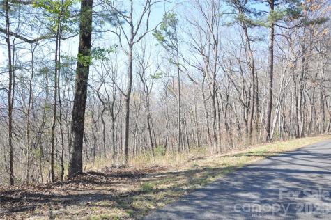 Tbd Mountain Crest Drive S Marion NC 28752