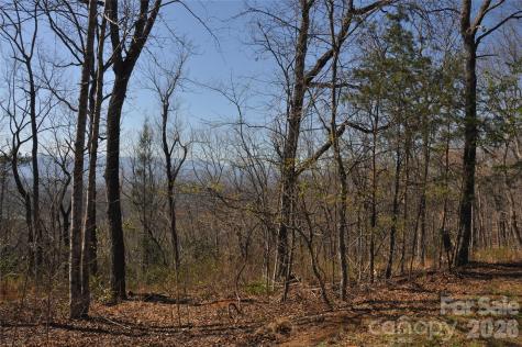 Tbd Mountain Crest Drive S Marion NC 28752