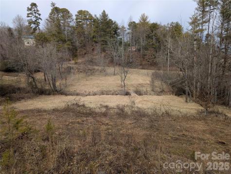 36 Country Cove Court Leicester NC 28748