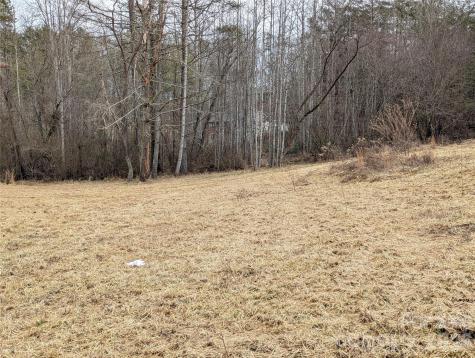 36 Country Cove Court Leicester NC 28748