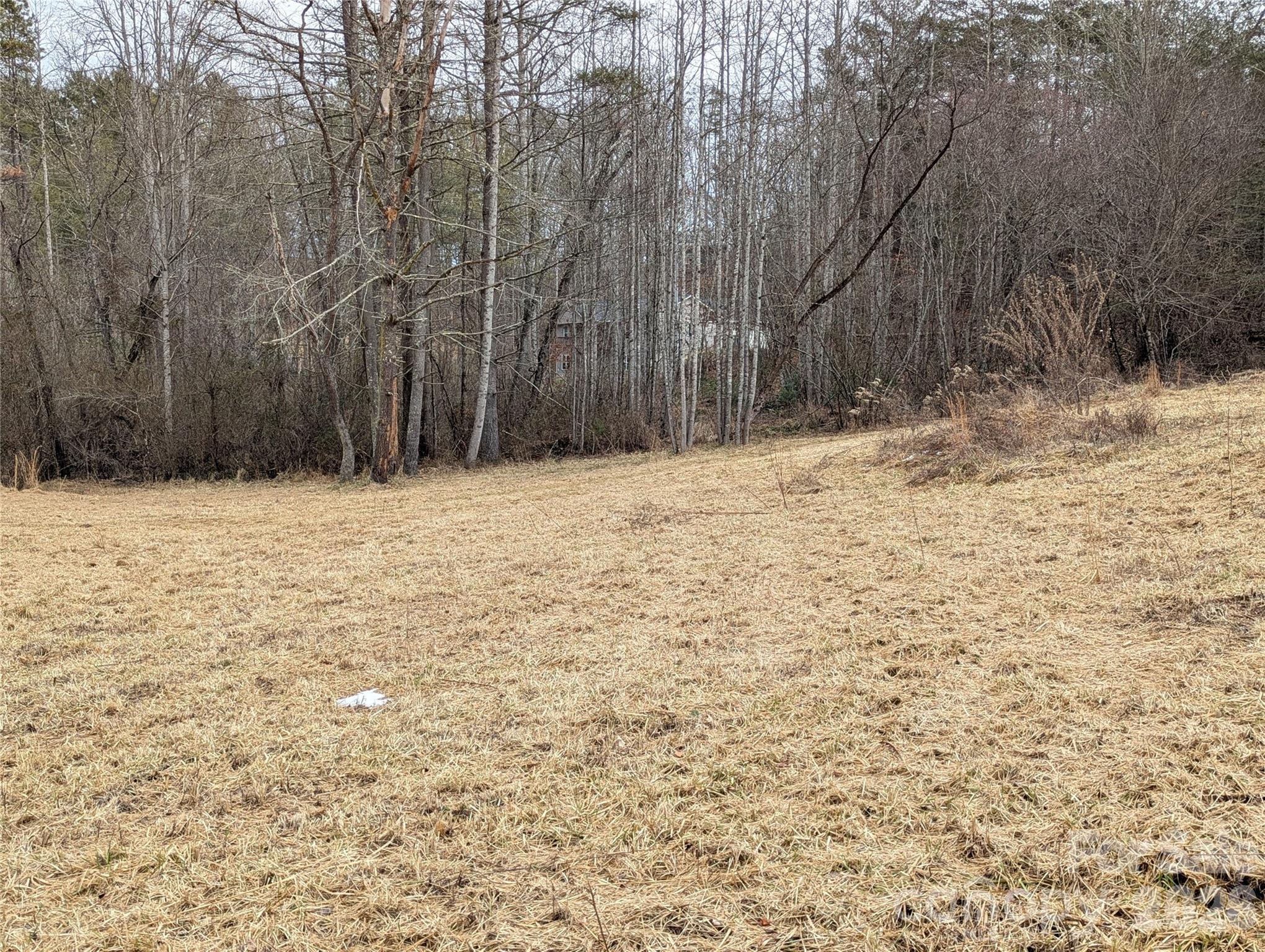 36 Country Cove Court Leicester NC 28748