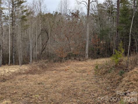 36 Country Cove Court Leicester NC 28748