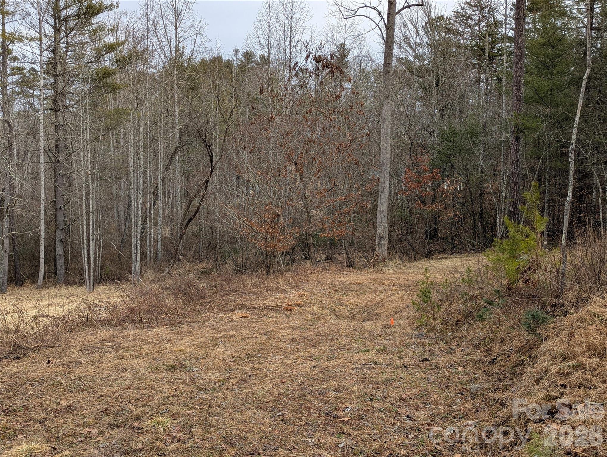 36 Country Cove Court Leicester NC 28748