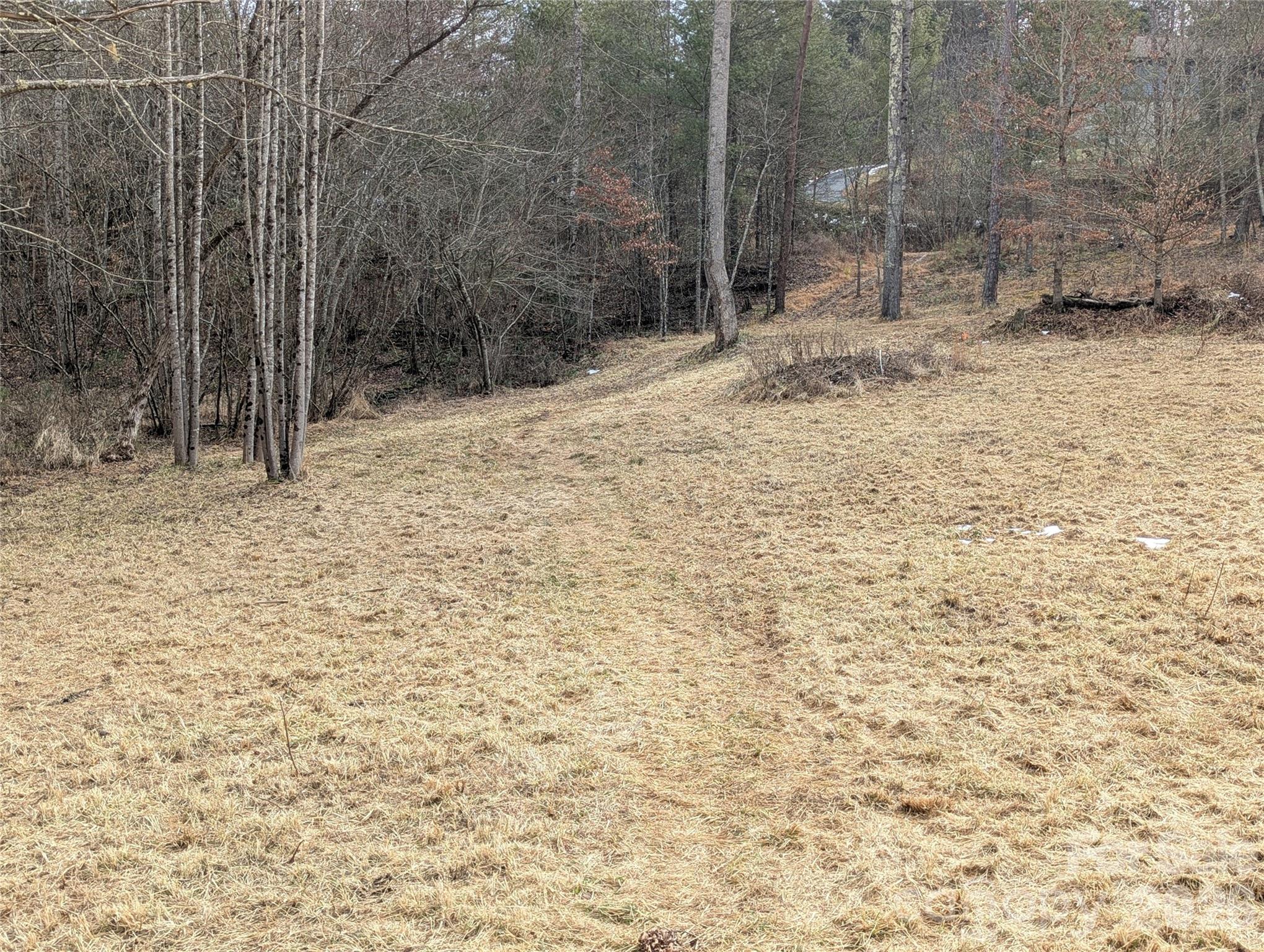 36 Country Cove Court Leicester NC 28748