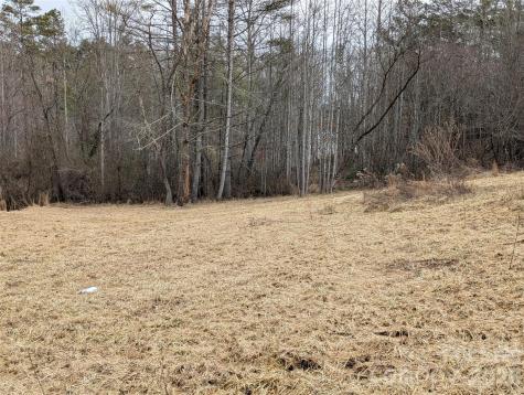 36 Country Cove Court Leicester NC 28748