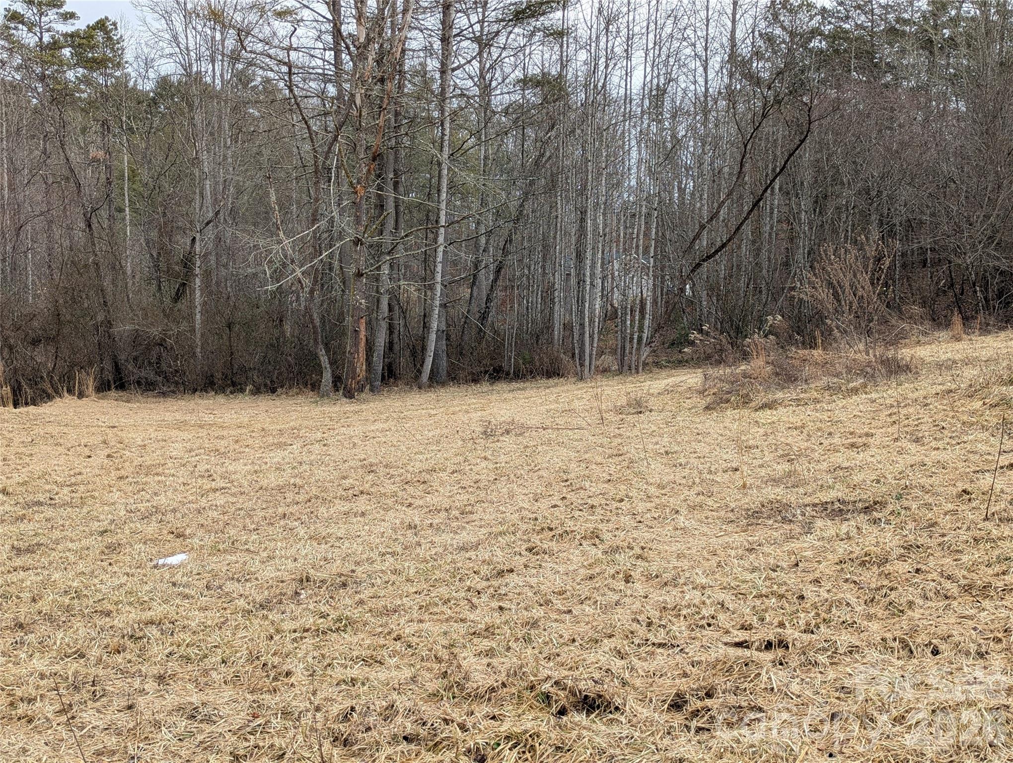 36 Country Cove Court Leicester NC 28748