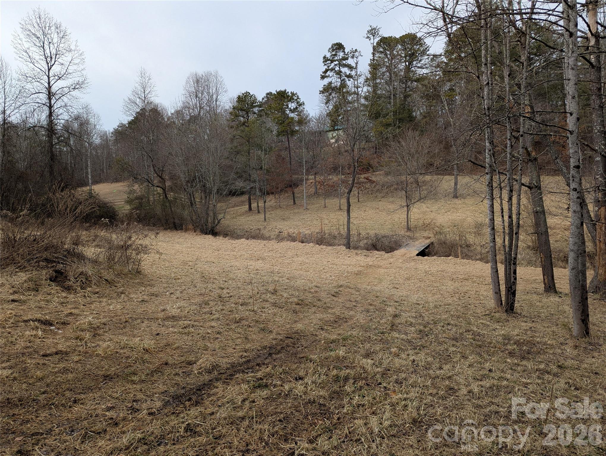 36 Country Cove Court Leicester NC 28748