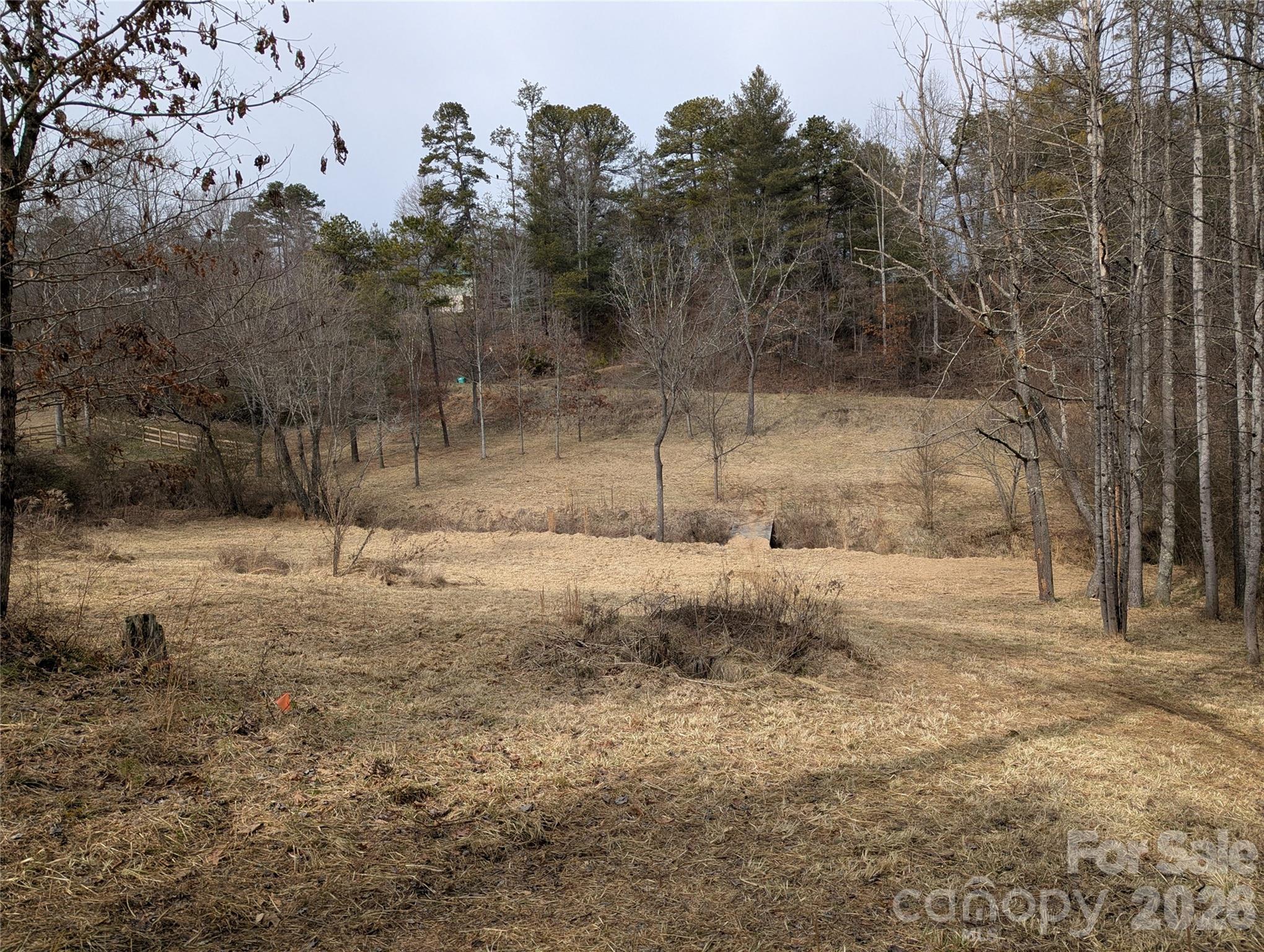 36 Country Cove Court Leicester NC 28748