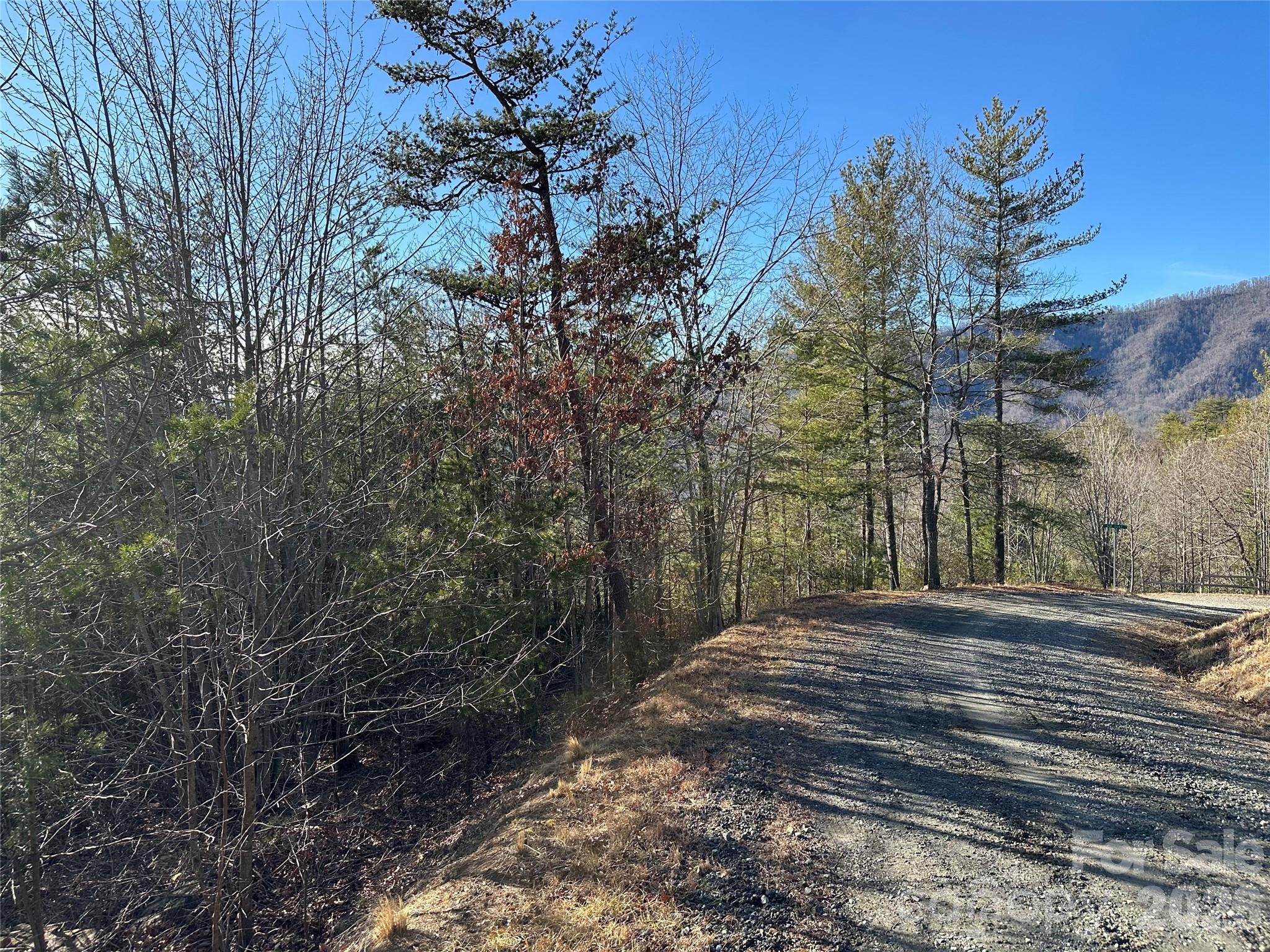 000 Fox Ridge Trail Marion NC 28752