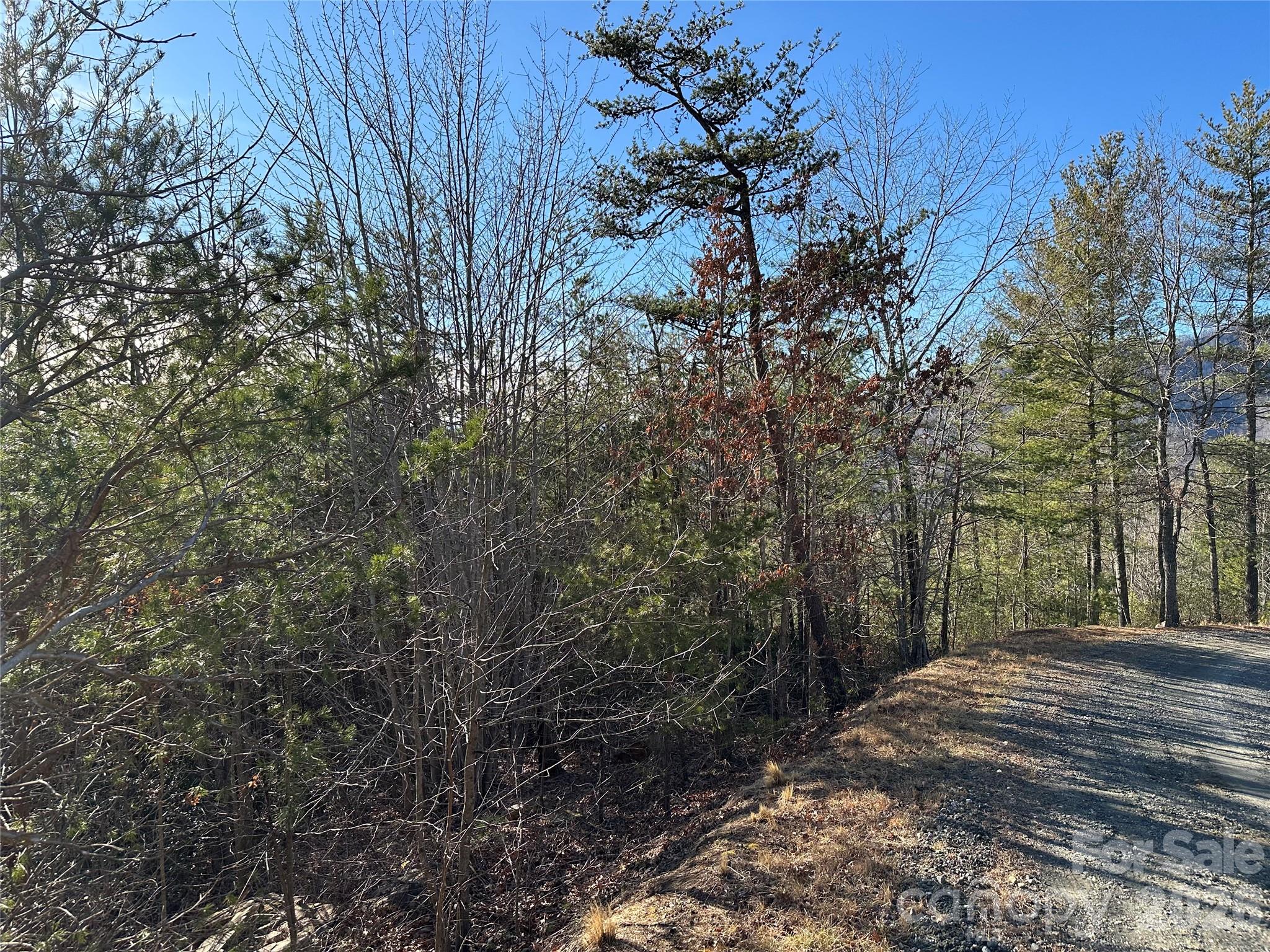 000 Fox Ridge Trail Marion NC 28752