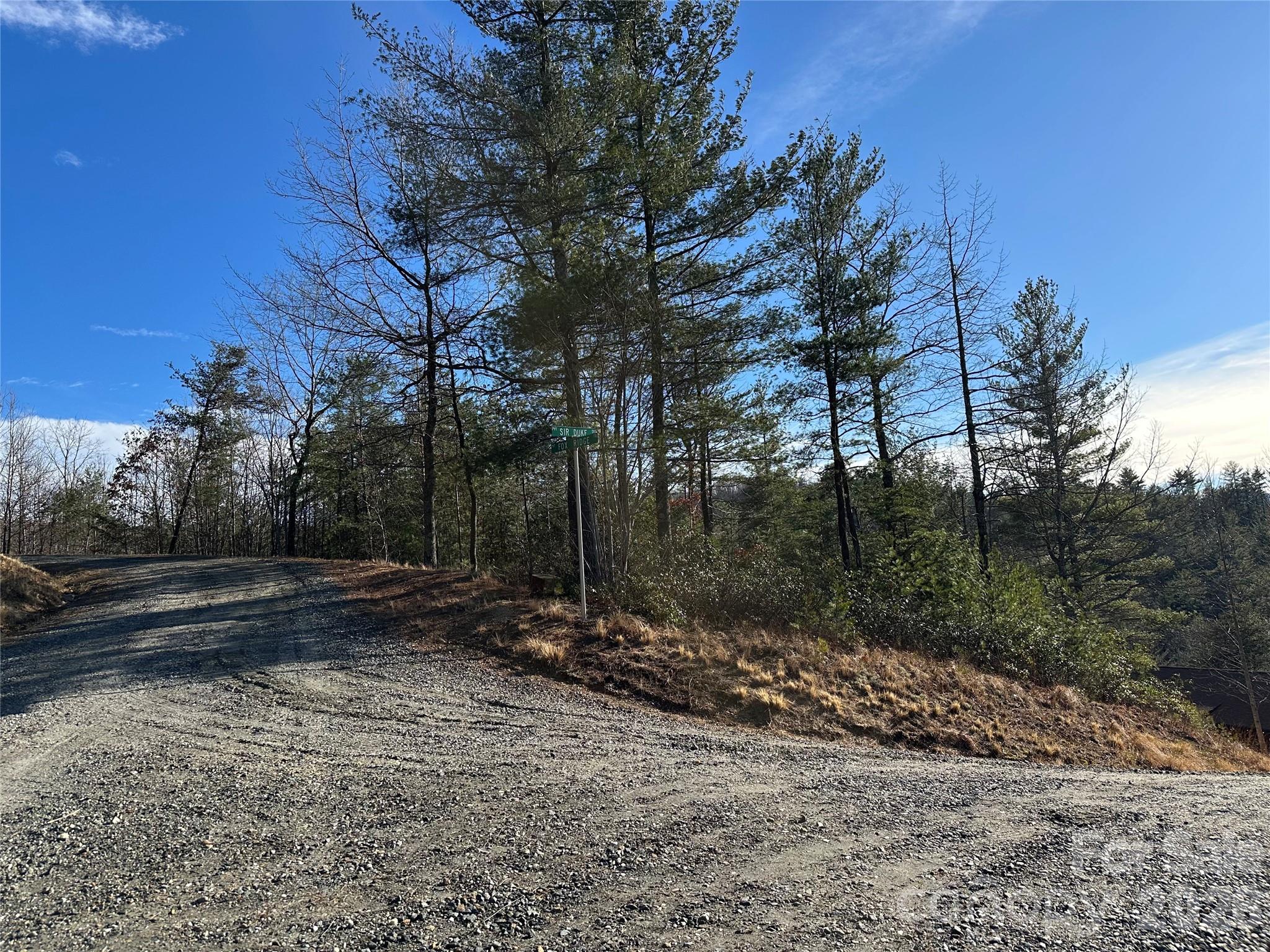 000 Fox Ridge Trail Marion NC 28752