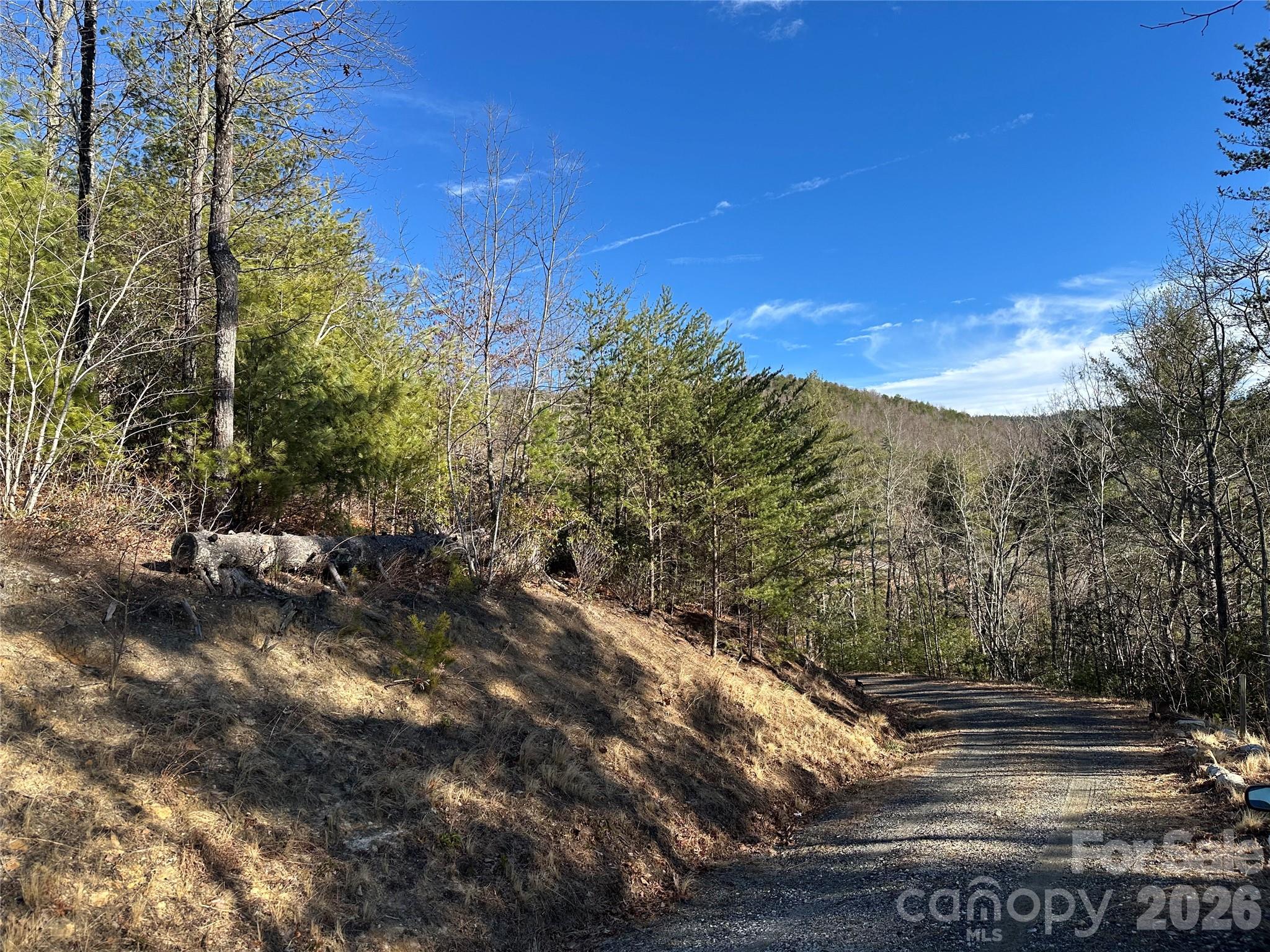 000 Fox Ridge Trail Marion NC 28752