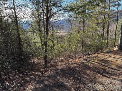 000 Fox Ridge Trail Marion NC 28752
