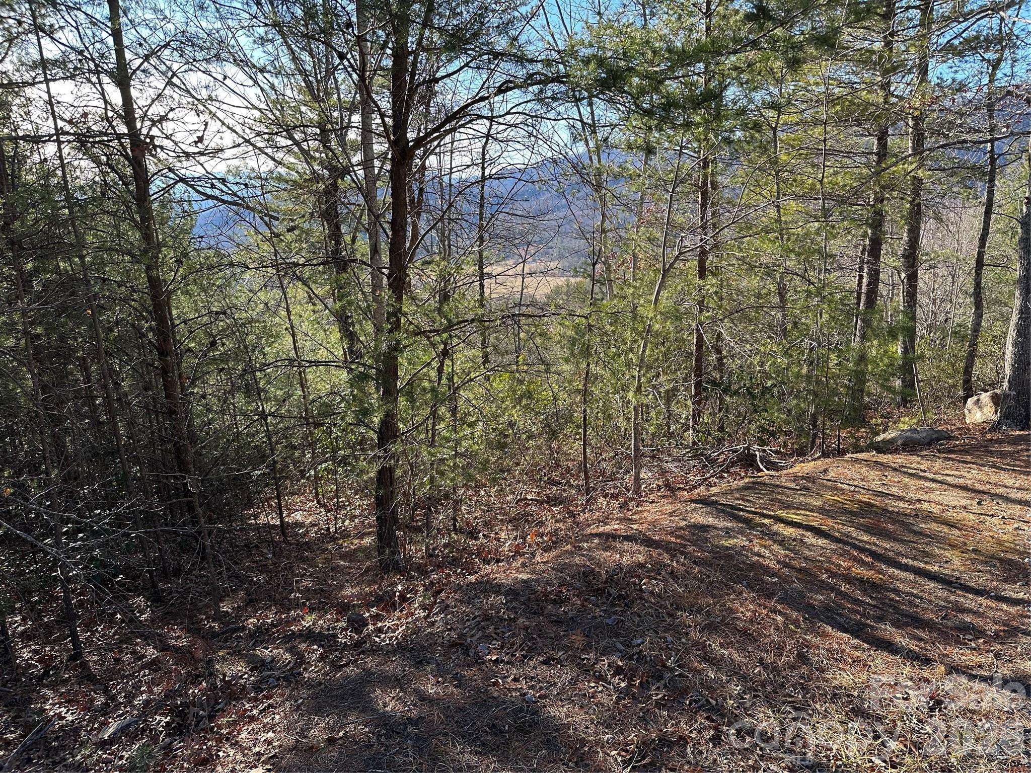 000 Fox Ridge Trail Marion NC 28752