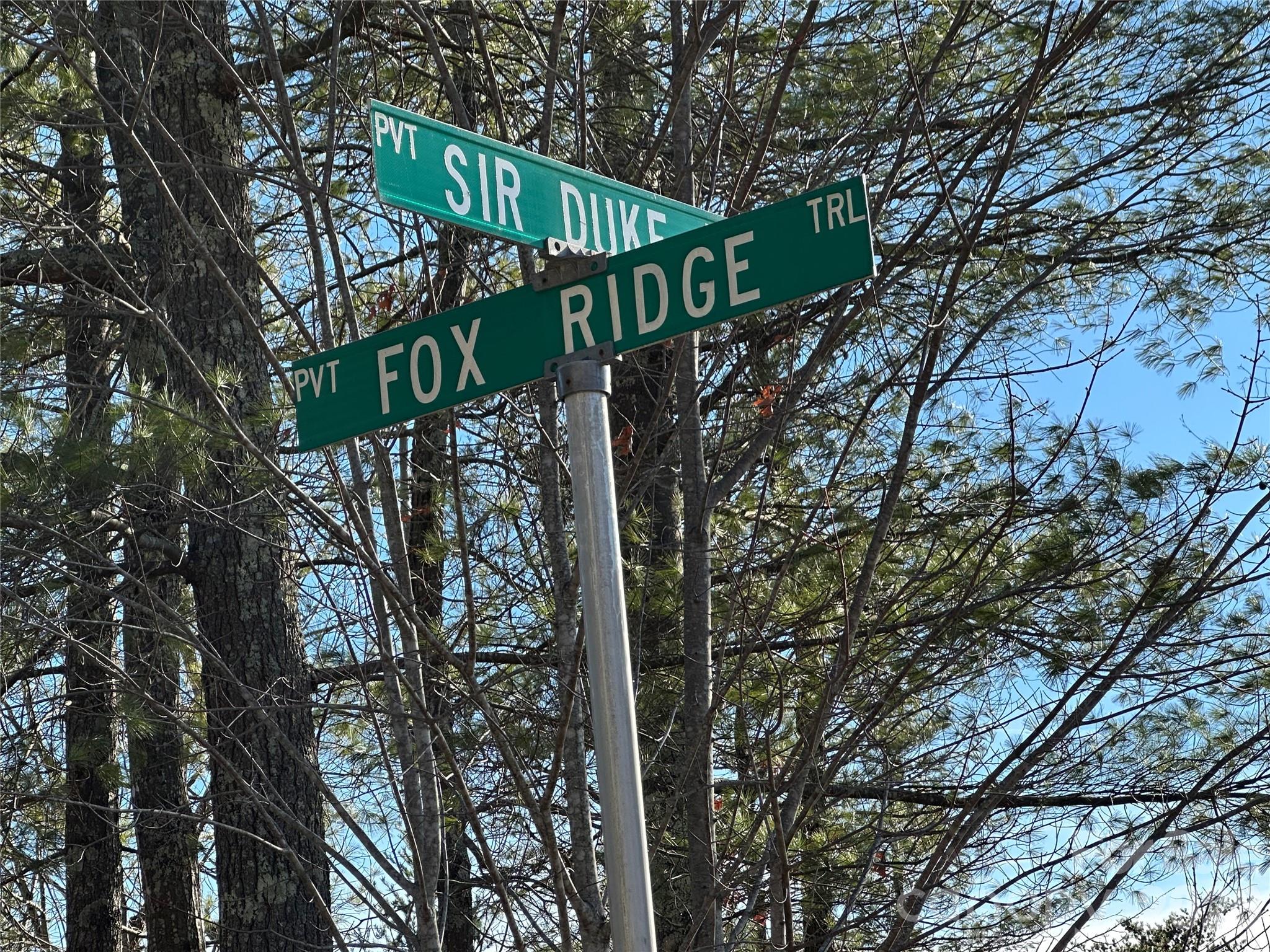 000 Fox Ridge Trail Marion NC 28752
