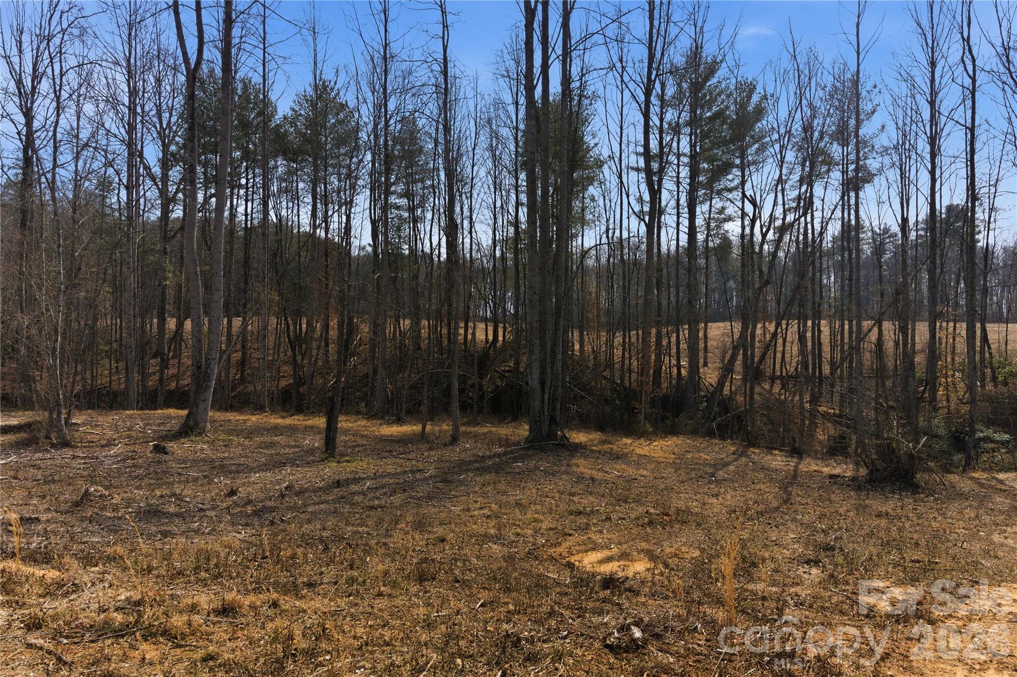 00 Mccurry Farm Lane Lincolnton NC 28092