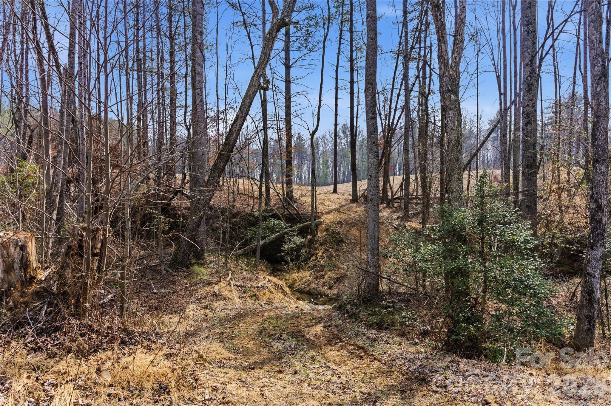00 Mccurry Farm Lane Lincolnton NC 28092
