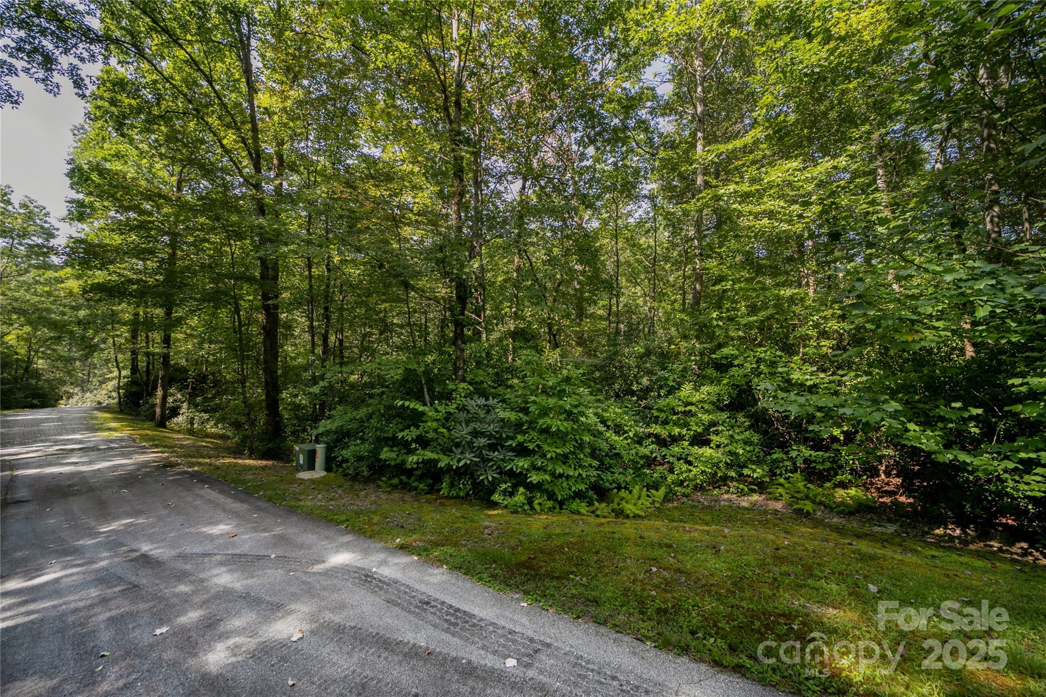 Lot 7 Sweetwater Ridge Road Balsam Grove NC 28708