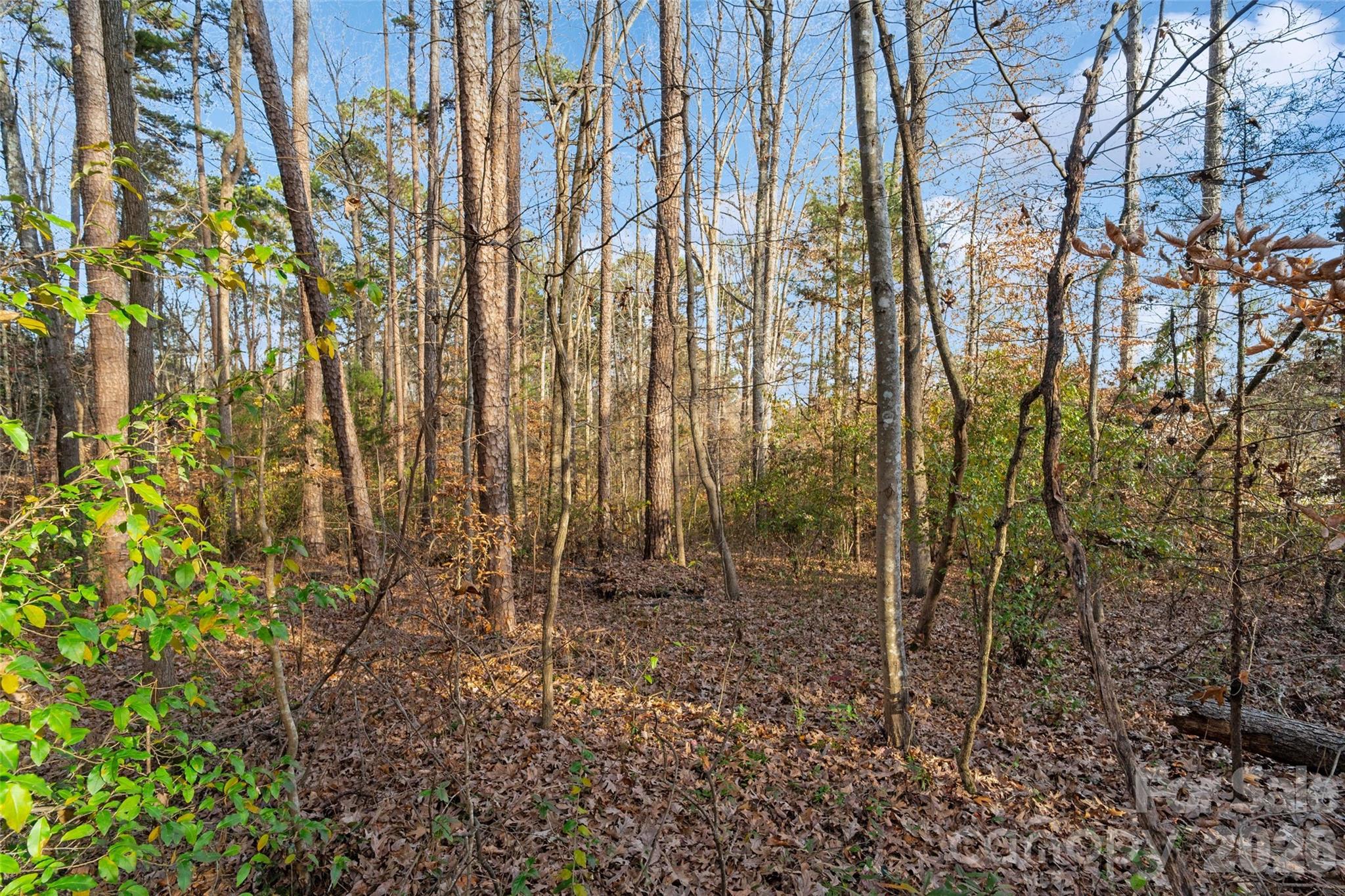 0000 Sandy Ford Road Mount Holly NC 28120