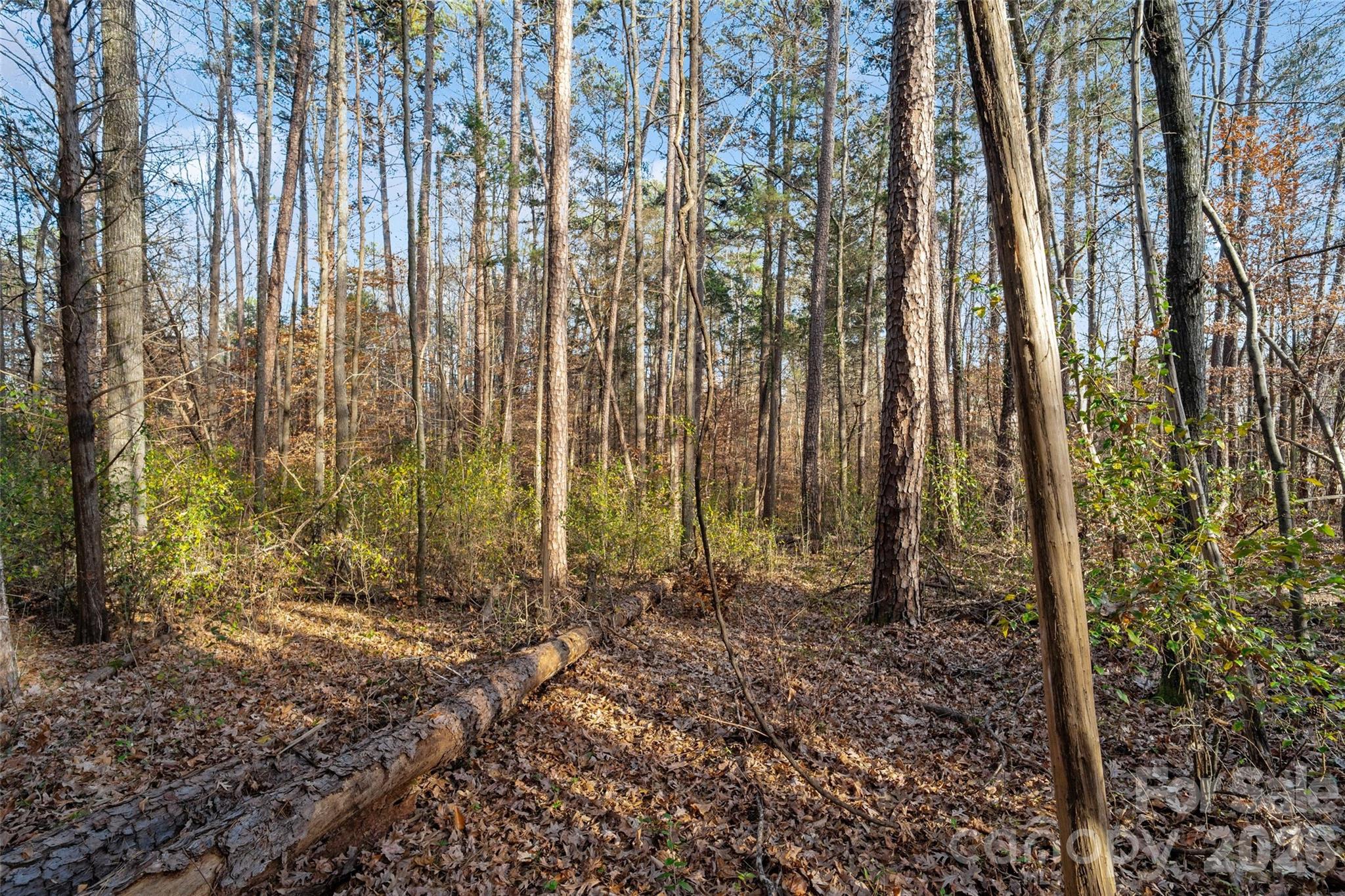 0000 Sandy Ford Road Mount Holly NC 28120