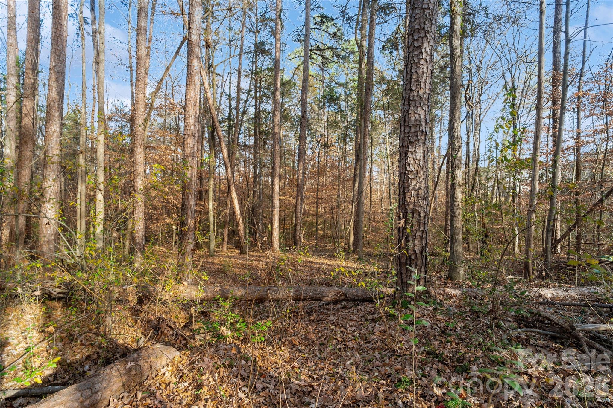 0000 Sandy Ford Road Mount Holly NC 28120