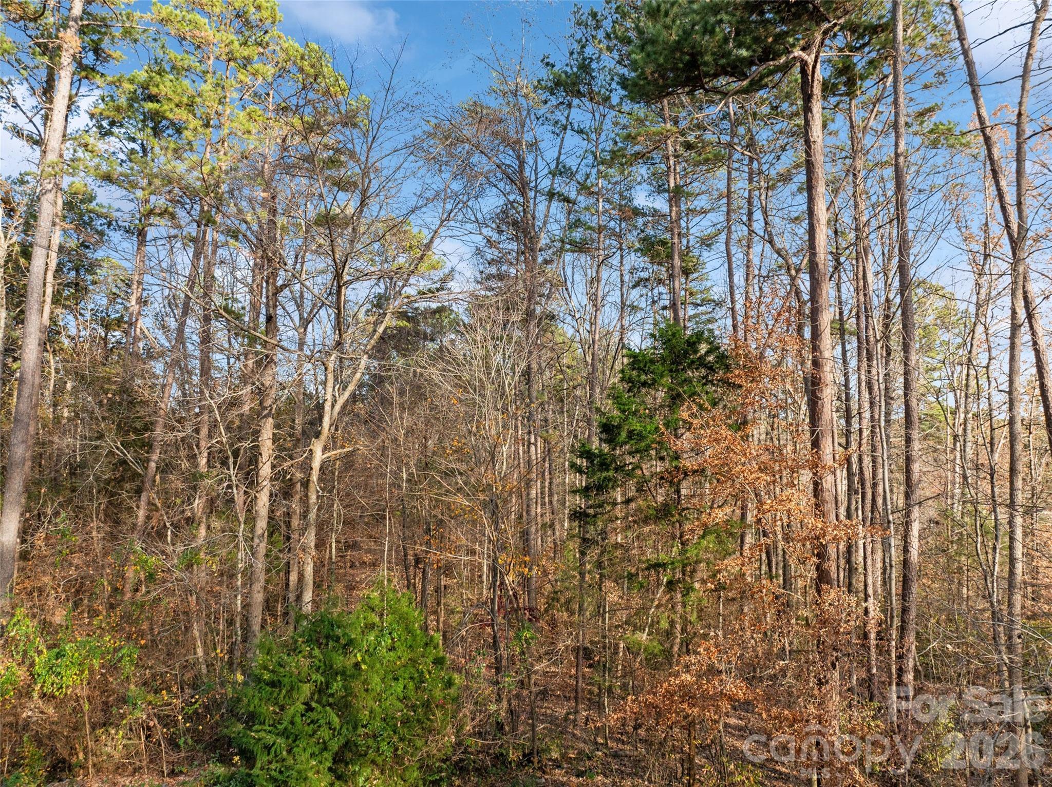 0000 Sandy Ford Road Mount Holly NC 28120