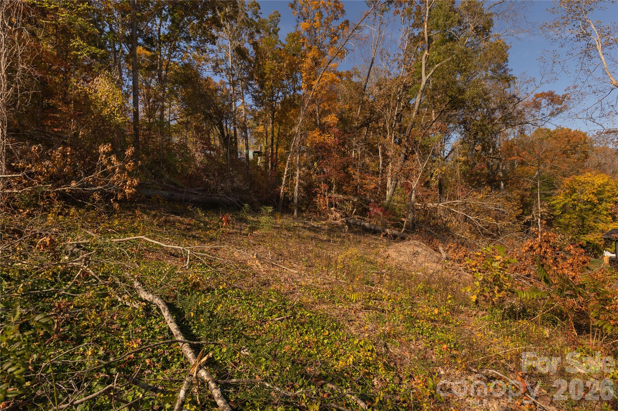 13 Bassett Road Asheville NC 28804