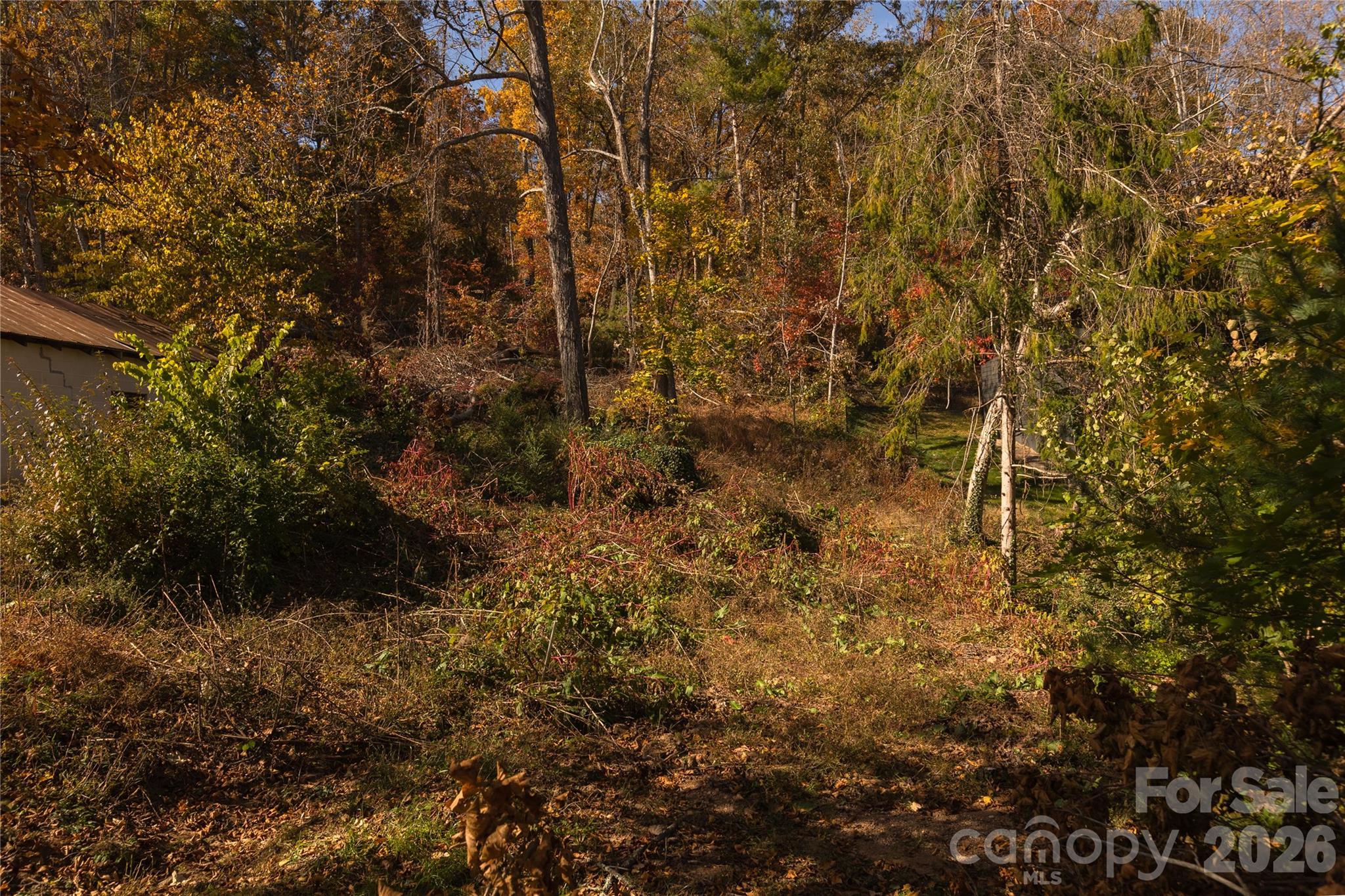 13 Bassett Road Asheville NC 28804