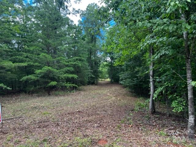 46 N Park Lane Mill Spring NC 28756