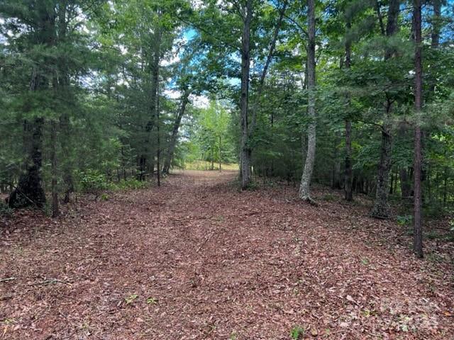 46 N Park Lane Mill Spring NC 28756