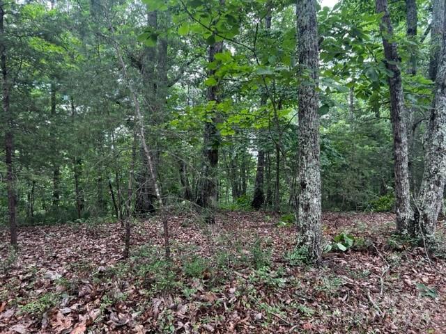 46 N Park Lane Mill Spring NC 28756