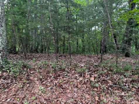 46 N Park Lane Mill Spring NC 28756
