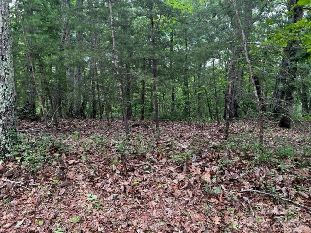 46 N Park Lane Mill Spring NC 28756